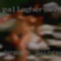 Denmark swingers