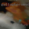 Girl like fuck in ass