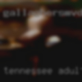 Tennessee adult personals